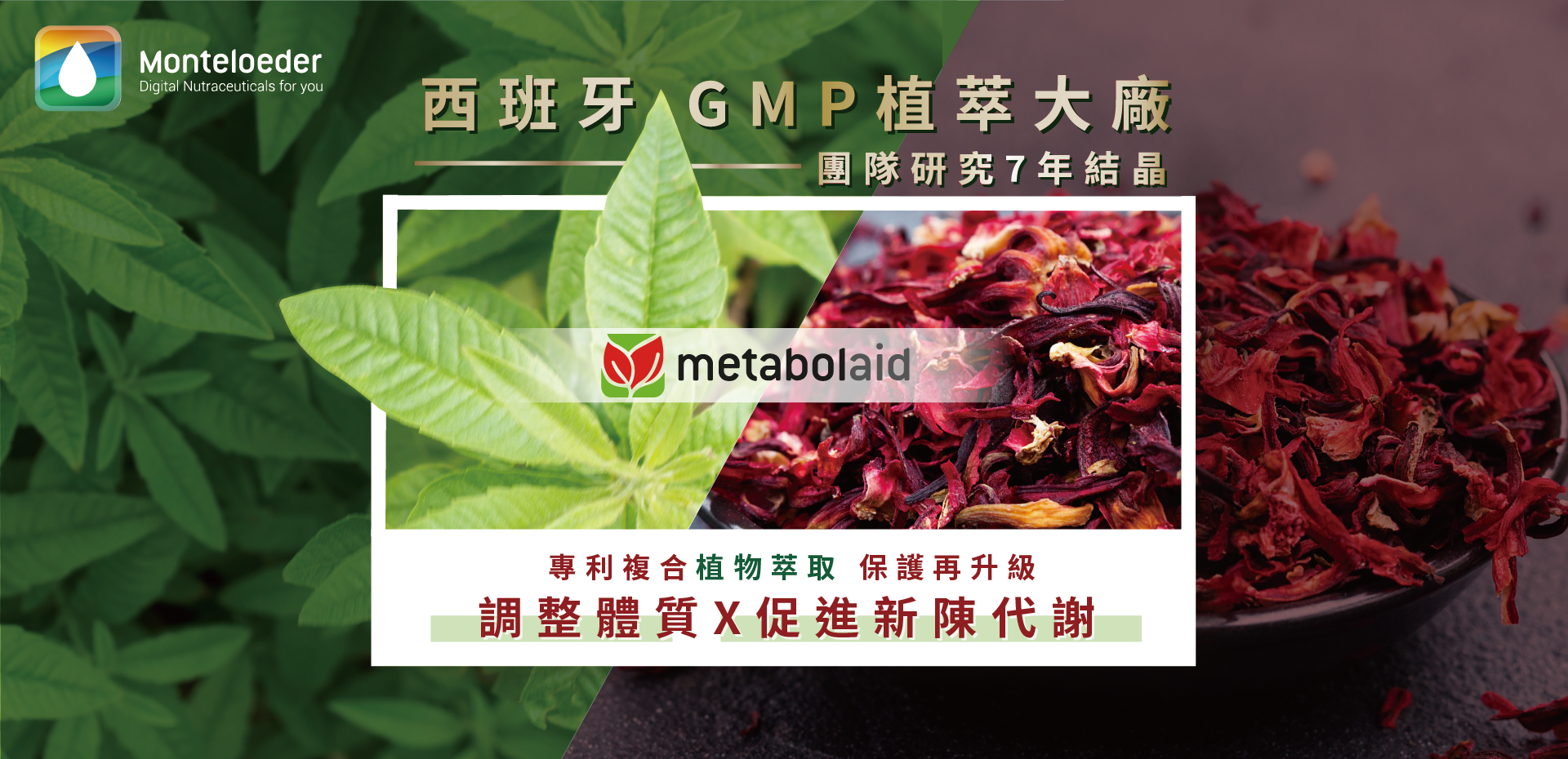 西班牙GMP植萃大廠 metabolaid 專利複合植物萃取 線上發表會