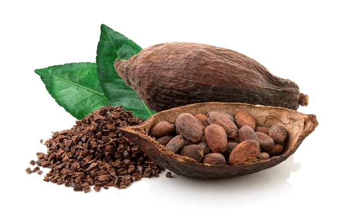 【健康曲線】可可亞種子萃取 Cocoa Seed Extract
